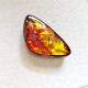 Ammolit 5,74 ct Kanada