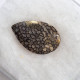Dinosauří kost 5,16 ct Utah USA
