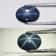 Safír asterický 1,54 ct Thajsko