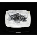 Kurnakovit 1,95 ct