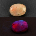 RARITA ANORTIT 0,99 ct Itálie