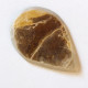 Slída (Phlogopite/Mica) 9,0 ct